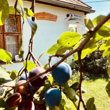 Ubytovanie U Aranky Cierna nad Tisou Exteriör bild
